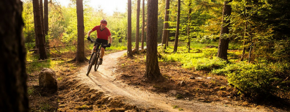 plantillas-deportivas