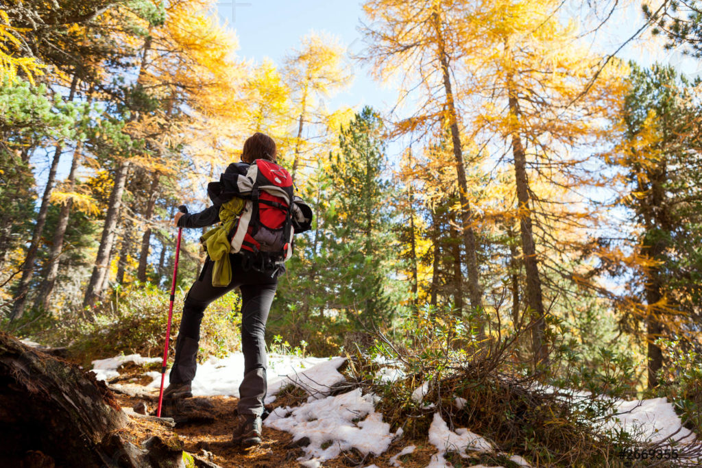 FLEXOR DEPORTES OTOÑO