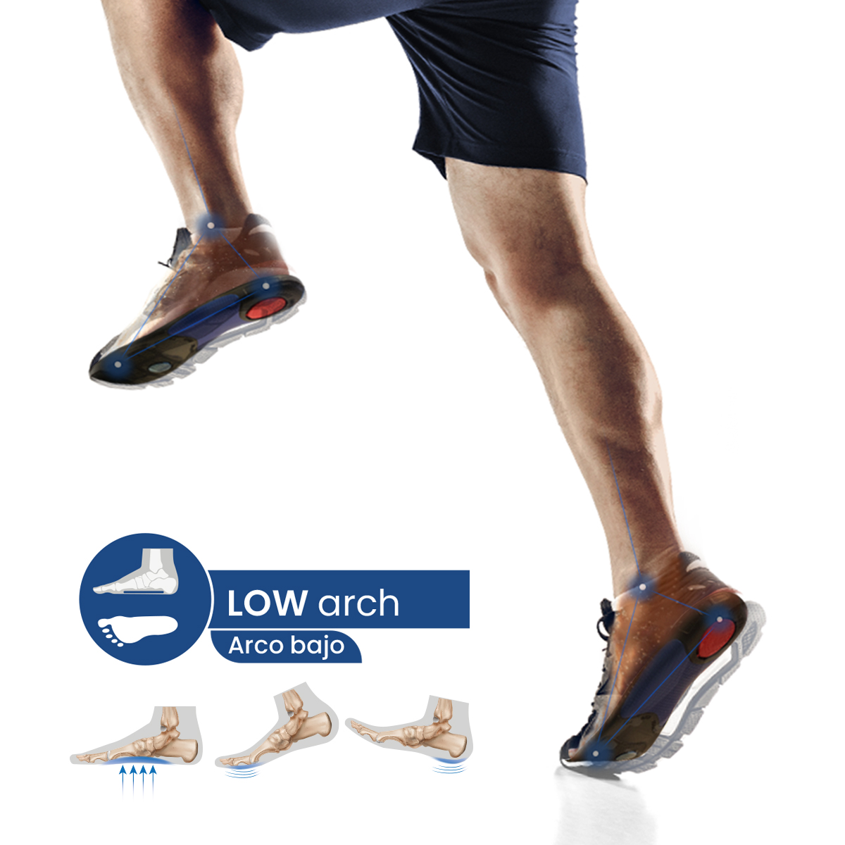 Plantilla Flexor Sport PRO Running arco bajo / LOW ARCH - Imagen 3