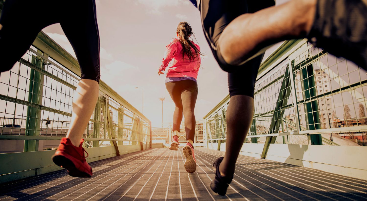 header-flexorsport header-flexorsport